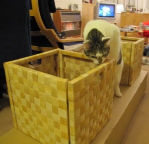 Bobby loves Ikea 2