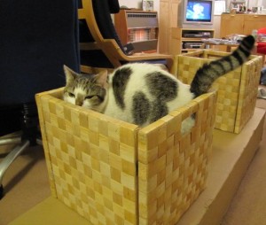 Bobby loves Ikea 3