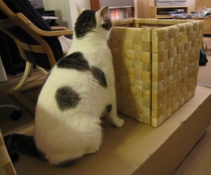 Bobby loves Ikea 1