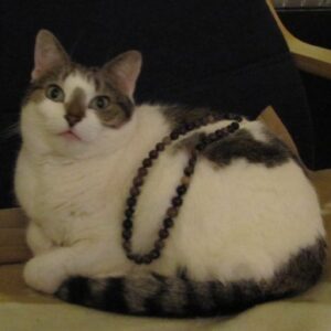 Bobby with my Tourmaline necklace