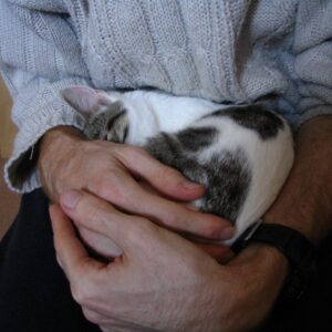 The day we met Bobby - copyright Helen White