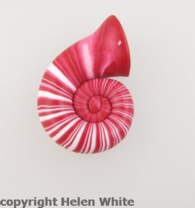 Nautilus polished with Auto-clay - copyright Helen White