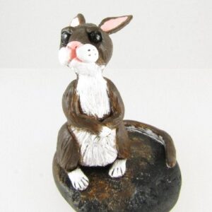 Mouse - front