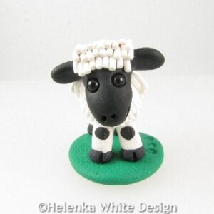 Valais Blacknose sheep with horns