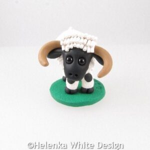 Valais Blacknose sheep with horns
