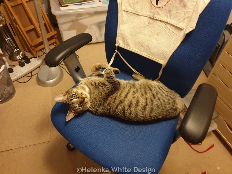Happy New Year 2024 – A review of 2023 and plans for 2024. 10 Lucy on my workroom chair. November 2023