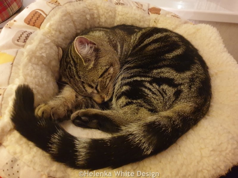 Max in basket December 2023